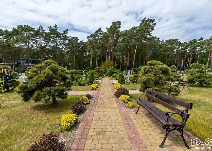 Apartamento Lesny Widok D&d